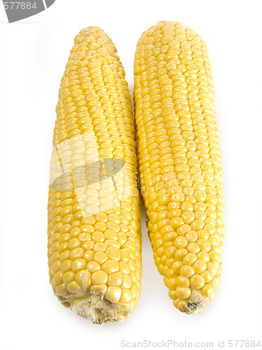 Image of Corn