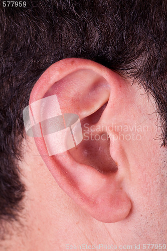 Image of Male Ear