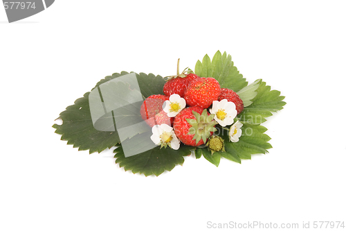 Image of fresh strawberries