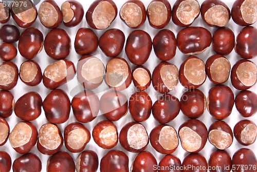 Image of chestnuts background