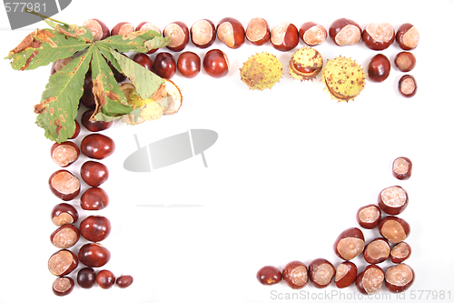 Image of chestnuts background