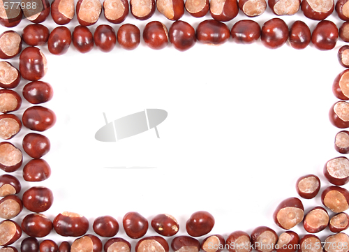 Image of chestnuts background