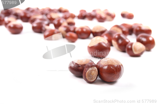 Image of chestnuts  background