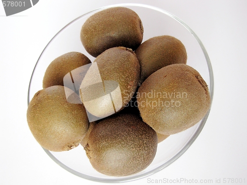 Image of Kiwi