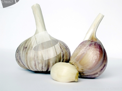 Image of garlic