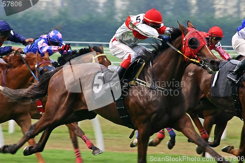 Image of Horse Racing