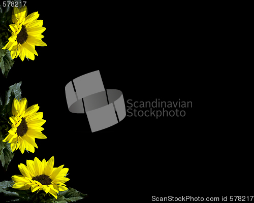 Image of Yellow flowers