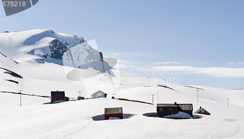 Image of Winter wonderland