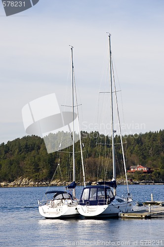 Image of Sailboats