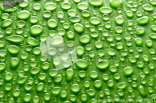Image of water drops
