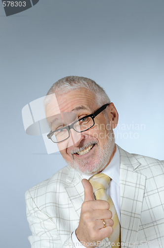 Image of Succesful senior businessman