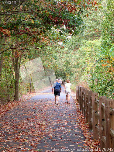 Image of Walking Path