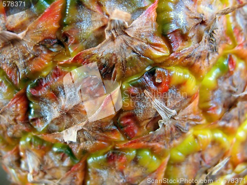 Image of Pineapple Skin