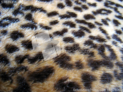 Image of Leopard Print