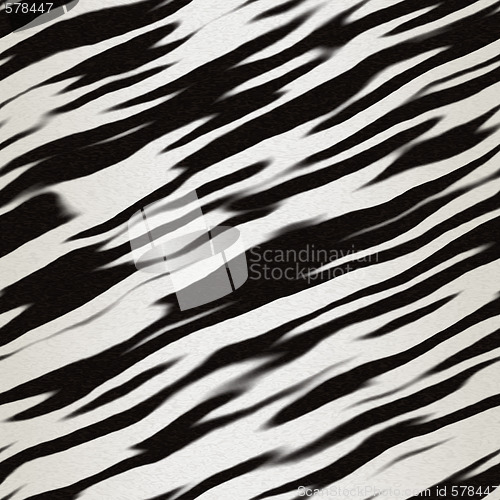 Image of zebra print