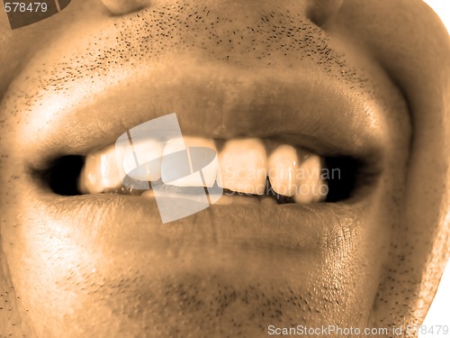 Image of pearly whites