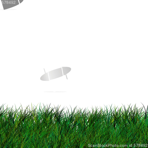 Image of Short Isolated Grass