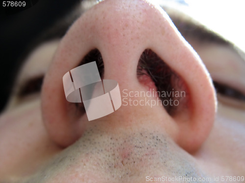 Image of up your nose