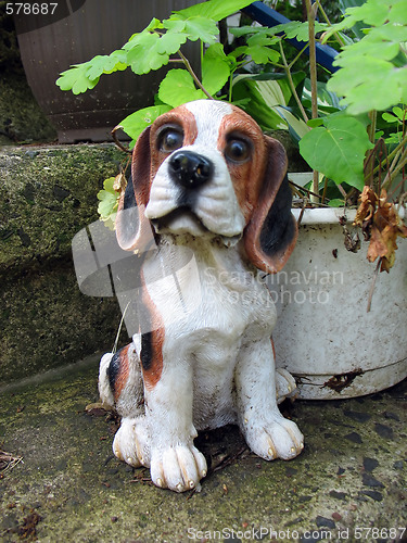 Image of cute beagle