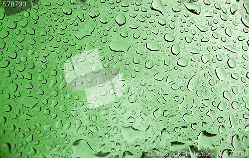 Image of Water Droplets