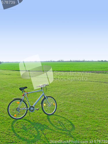 Image of Bicycle in green 1