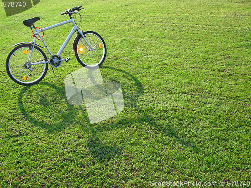 Image of Bicycle in green 2