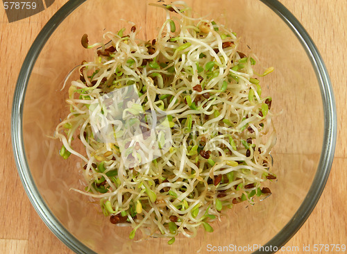 Image of Eating sprouts