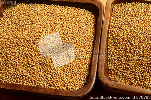 Image of Mustard seeds