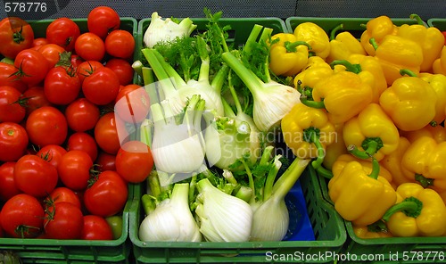 Image of Fresh vegetables