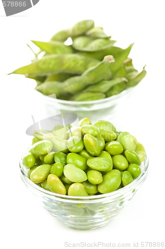 Image of Soy beans