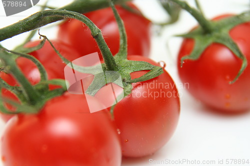 Image of Tomatoes on white