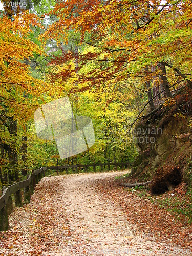 Image of colors of fall