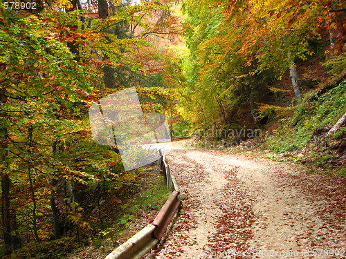 Image of colors of fall