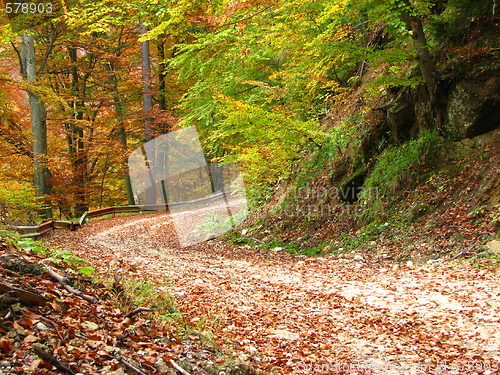 Image of colors of fall