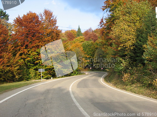 Image of colors of fall