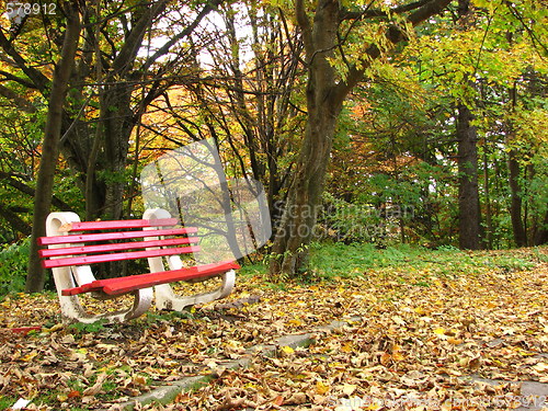 Image of colors of fall