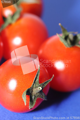 Image of fresh tomatoes
