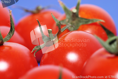 Image of fresh tomatoes