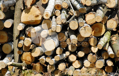 Image of Firewood