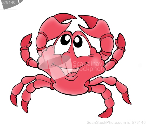 Image of Cute crab