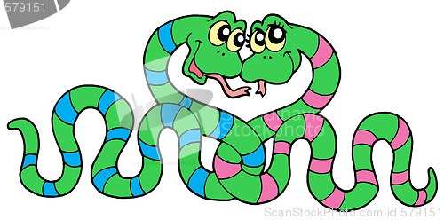 Image of Pair of snakes in love