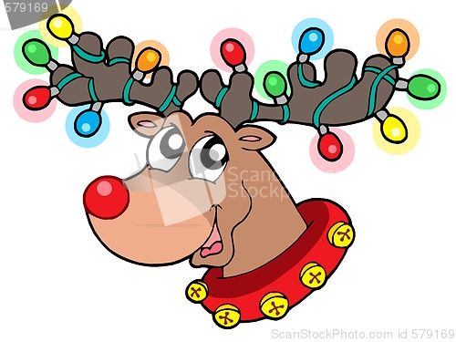 Image of Cute reindeer in Christmas lights
