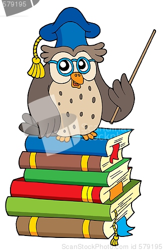 Image of Owl teacher and books