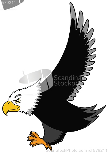 Image of Flying American eagle