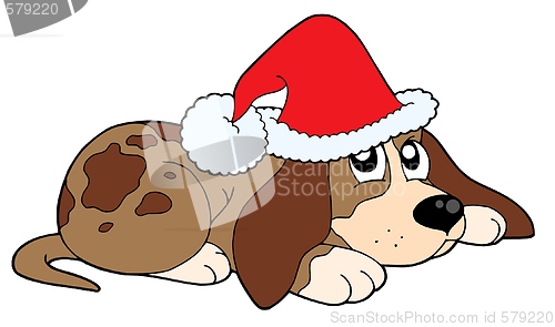 Image of Cute dog in Christmas cap