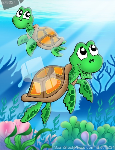 Image of Little sea turtles