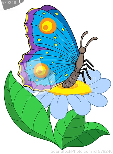 Image of Butterfly with flower