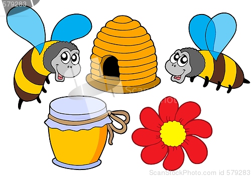 Image of Bee and honey collection