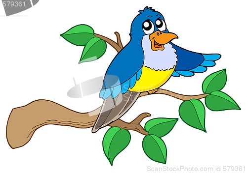 Image of Blue bird sitting on branch
