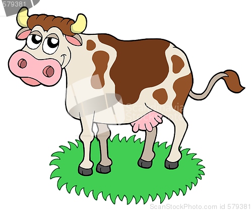 Image of Cute cow